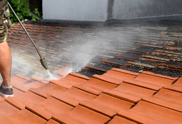 Best Best Pressure Washing Companies  in Singac, NJ